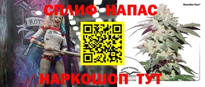крисы Тулун
