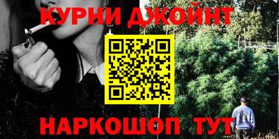 крисы Тулун