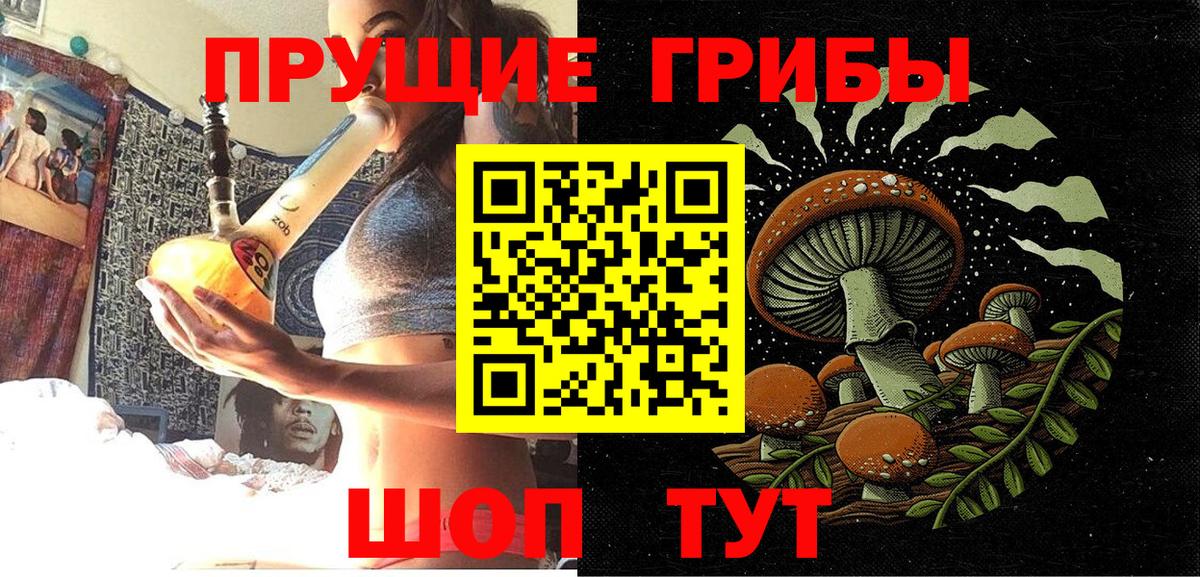 Галлюциногенные грибы GOLDEN TEACHER Ногинск